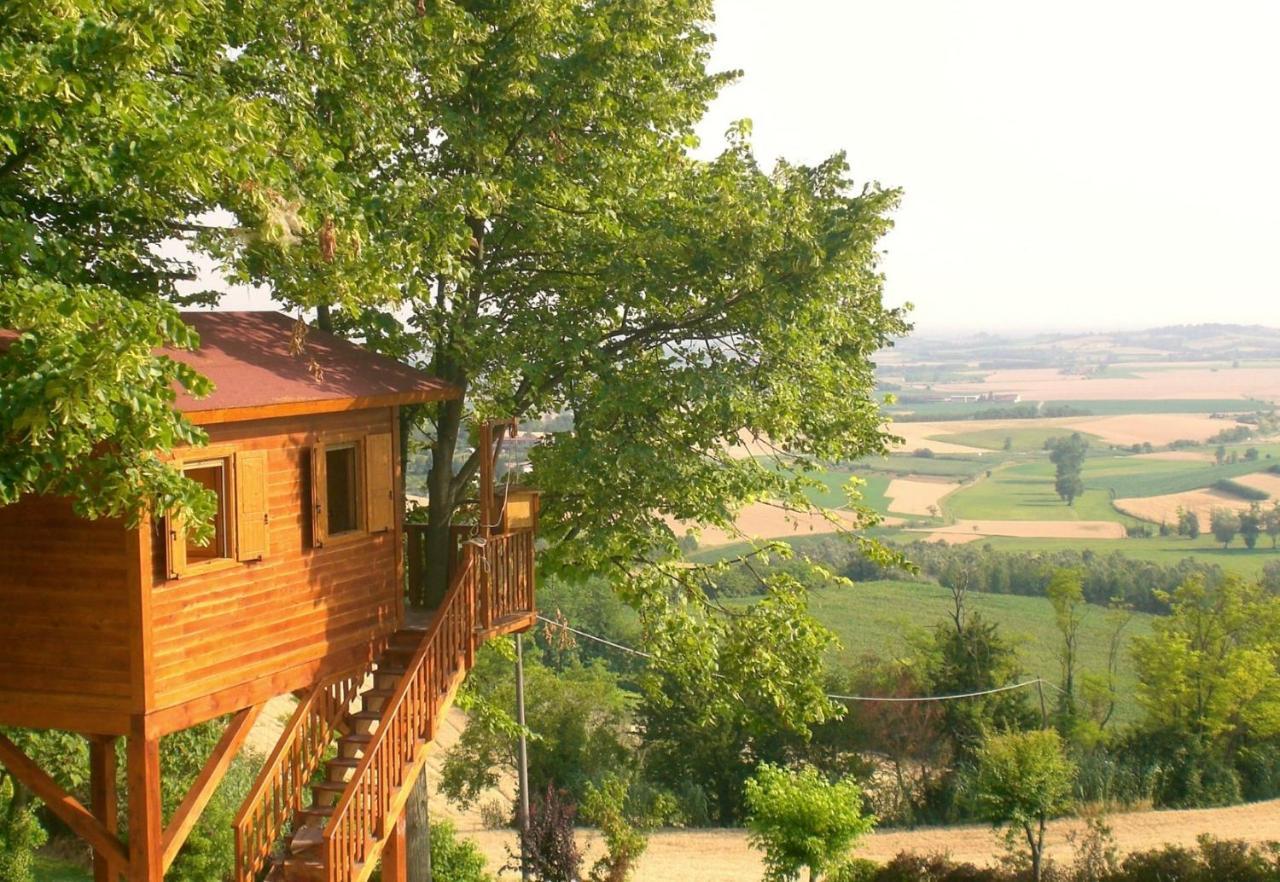 Casa Sull'Albero Aromantica San Salvatore Monferrato Eksteriør billede